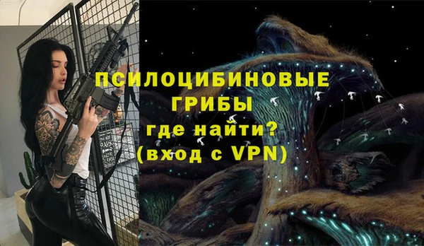 стаф Михайловка