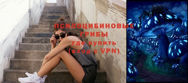 метадон Михайлов