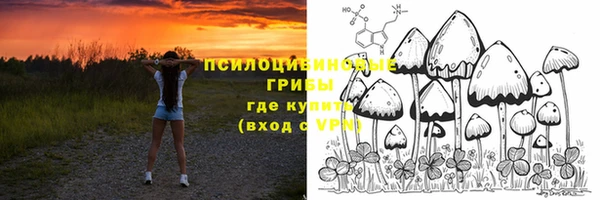 метадон Михайлов