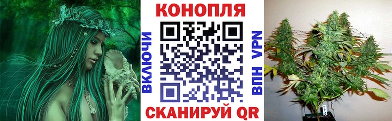 Бошки марихуана марихуана Горно-Алтайск